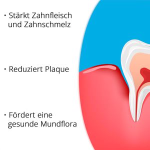 Produktbild für Zahnpasta SANTE Vitamin B12 Sensitive Care Zahngel