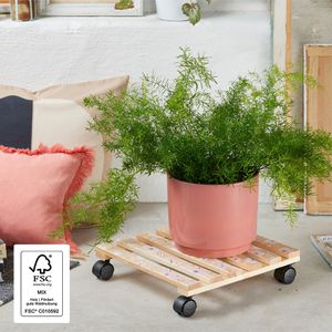 Produktbild für Pflanzenroller Wagner-System Your Style GH 0650, für innen