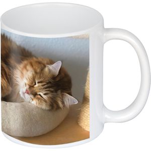 Produktbild für Kaffeebecher plottiX PL0603001