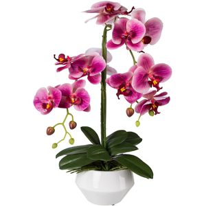 Kunstblume Creativ-green Orchidee, Phalaenopsis