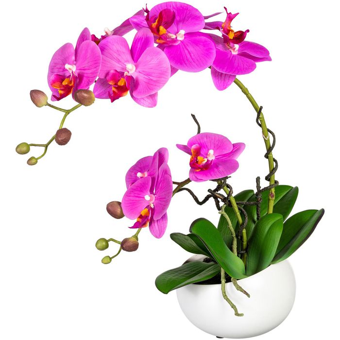 Creativ-green Kunstblume Orchidee, Phalaenopsis, lila, in Keramik-Schale,  Höhe 42 cm – Böttcher AG