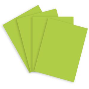 Produktbild für Kopierpapier Papyrus Rainbow 88042654