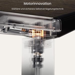Produktbild für Schreibtisch FlexiSpot E7B 2026, ahorn / schwarz