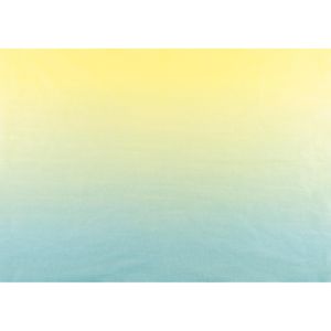 Produktbild für Seidenpapier Folia 90078, Rainbow, mehrfarbig