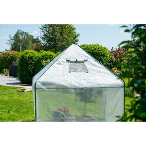 Produktbild für Gewächshaus Westmann Perperoni, 3,24 m² Fläche