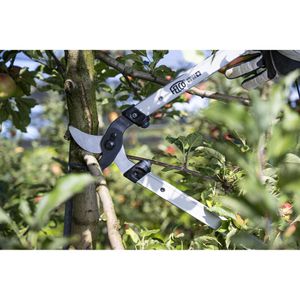 Produktbild für Astschere FELCO 221-70