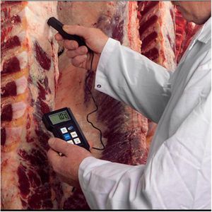 Produktbild für Einstichthermometer TFA P 300 digital