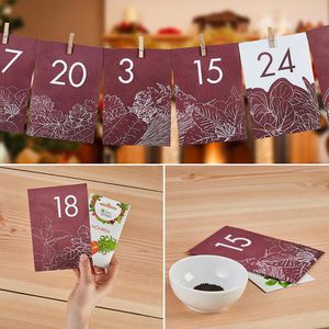 Produktbild für Adventskalender OwnGrown BEGR-300238, Saatgut