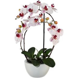 Produktbild für Kunstblume Creativ-green Orchidee, Phalaenopsis