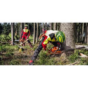 Produktbild für Forsthelm Protos Integral Forest F39, grün-gelb