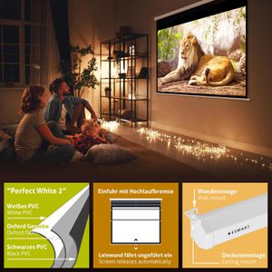 Produktbild für Beamer-Leinwand ESMART Professional MIROLO