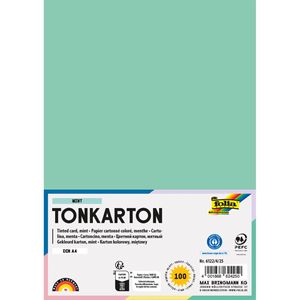 Folia Fotokarton 6122/4/25, A4, mint, 220g/m², 100 Blatt