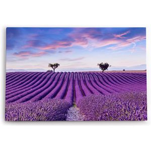 Produktbild für Wandbild Sinus-Art Lavendelfeld