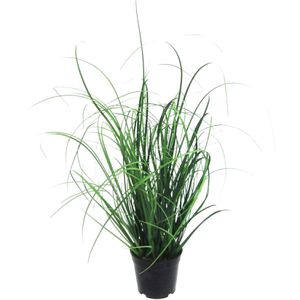 Produktbild für Kunstpflanze Creativ-green Grasbusch