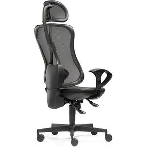 Produktbild für Bürostuhl SITWELL-STEIFENSAND Flash Net L, 99.830