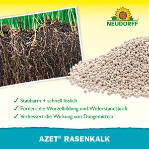 Produktbild für Dünger Neudorff Azet RasenKalk