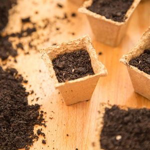 Produktbild für Anzuchttöpfe OwnGrown BEGR-300183, 120 Stück