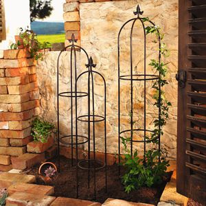 Produktbild für Rankgitter Frank-Flechtwaren Schwertlilie, braun, freistehend