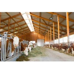 Produktbild für LED-Hallenstrahler Kerbl 345911, 150 Watt