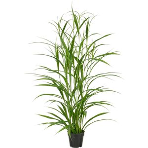 Produktbild für Kunstpflanze Creativ-green Jumbogras, für außen