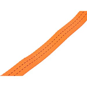 Produktbild für Spanngurt Feldtmann TECTOR, orange, mit Haken &amp; Ratsche
