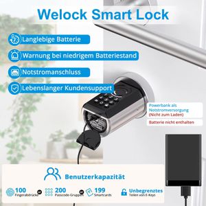 Produktbild für Smartes-Türschloss WELOCK ToucA51, mit 3 RFID-Karten