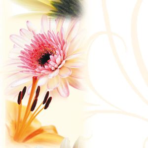 Produktbild für Briefpapier Sigel DP788, Flowerstyle, A4