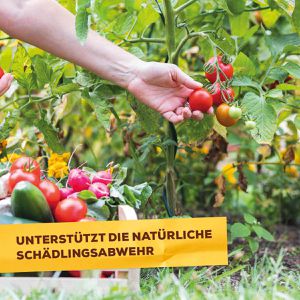 Produktbild für Grundstoff Solabiol Urtica, anwendungsfertig
