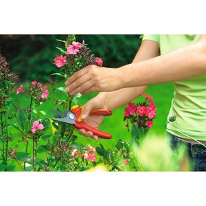 Produktbild für Gartenschere Wolf-Garten RR1500 Basic Plus Bypass