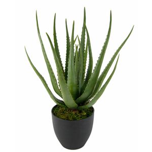 Kunstpflanze I.GE.A. Aloe Vera
