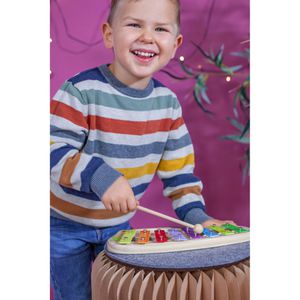 Produktbild für Kinder-Musikinstrument Eichhorn 100003482