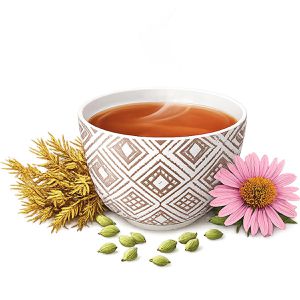Produktbild für Tee YogiTea Echinacea, BIO