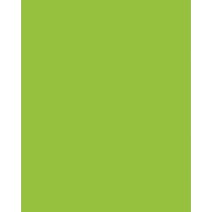 Produktbild für Tonpapier Folia 6118/4/50, A4