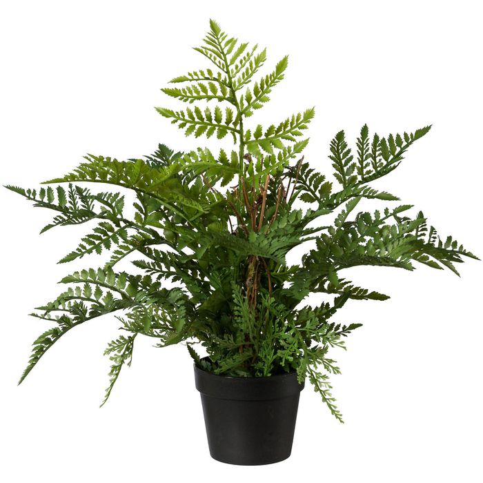 Creativ-green Kunstpflanze Höhe 35 cm, Farn, im Topf, 2 Stück – Böttcher AG