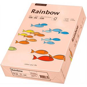 Produktbild für Kopierpapier Papyrus Rainbow 88042524