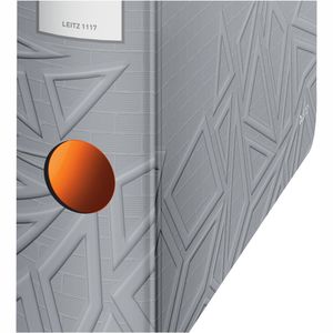 Produktbild für Ordner Leitz 1117-00-88, Active Urban Chic, PP, A4
