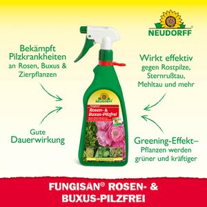 Produktbild für Fungizid Neudorff Fungisan Rosen- &amp; Buxus-Pilzfrei