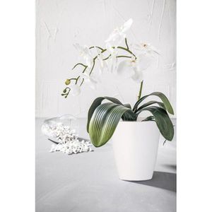 Produktbild für Übertopf Greemotion Ornella, weiß, Ø 11 x 12 cm