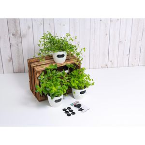 Produktbild für Tafeletiketten Herma 15092, Kreise