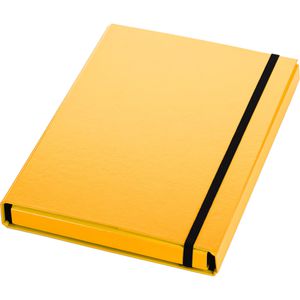 Produktbild für Heftbox Pagna Basic, aus Karton mit Kunststoffbezug, A4