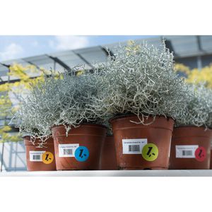 Produktbild für Folienetiketten Herma 9541 Outdoor, weiß matt