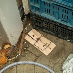 Produktbild für Rattenfalle Gardigo 62324