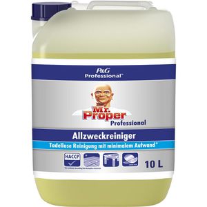 Allzweckreiniger Meister-Proper Professional Lemon