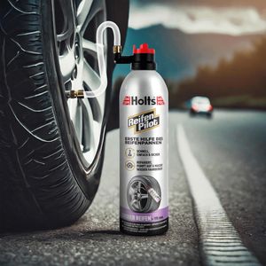 Produktbild für Reifendichtmittel Holts Reifenpilot, Spray