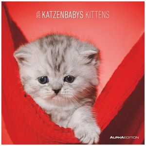 Alpha Bildkalender Katzenbabys, Jahr 2024, Motiv: Katzen, Broschürenkalender, 30 x 30cm