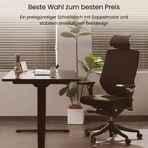 Produktbild für Schreibtischgestell FlexiSpot E5S-Lite, 4 Memoryspeicher