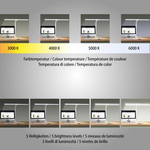Produktbild für Schreibtischlampe FeinTech LTL00321, schwarz, LED, dimmbar