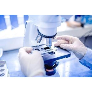 Produktbild für Einmalhandschuhe NITRAS-MEDICAL Vinyl PF, transparent, 100 St.