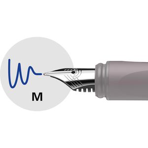 Produktbild für Füller Schneider Ceod Shiny, Feder M