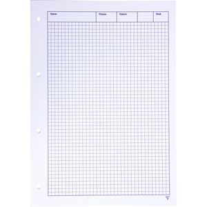 Produktbild für Arbeitsblock Clairefontaine 82615C 15, A4, kariert